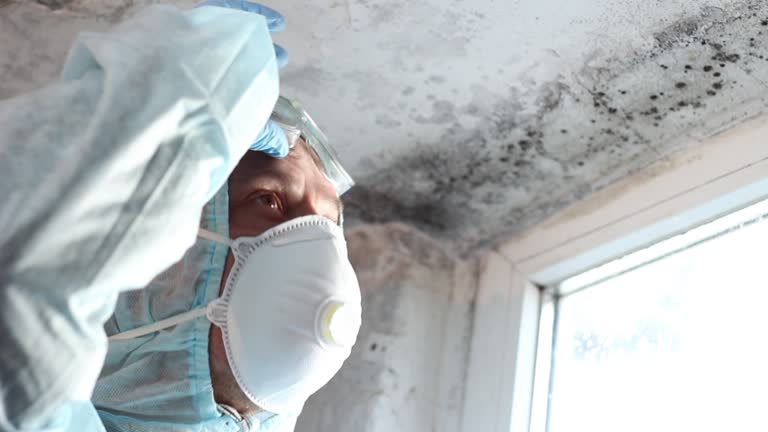 Best Mold Odor Removal Services  in Clifton Forge, VA